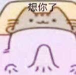 最新10月無水印訂閱！推特清純甜美巨乳女神【宮本山酒】最新福利，揉捏波霸，道具紫薇花心粉嫩，母狗屬性拉滿
