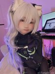 지혜 로리타 COSER [칸자와 에리] 대규모 그림 - 전자 고양이 애완 동물