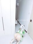 超极品可爱小萝莉『小宅酱』被爸爸用拍子打红屁股牵着狗链挨操呜呜呜好疼但是好刺激啊