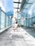 性感良家尤物人妻『ALY』5p成就達成啦，同時面對四根肉棒一起興奮到不知道先從哪個開始，一直求著各位爸爸操我