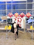 性感良家尤物人妻『ALY』5p成就達成啦，同時面對四根肉棒一起興奮到不知道先從哪個開始，一直求著各位爸爸操我