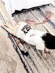 The alphabet circle training master "Lao Zuo S" trains various girls in captivity and exposes them completely in the wild. During the training, they squirt and squirt wildly.