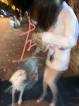 The alphabet circle training master "Lao Zuo S" trains various girls in captivity and exposes them completely in the wild. During the training, they squirt and squirt wildly.