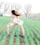The alphabet circle training master "Lao Zuo S" trains various girls in captivity and exposes them completely in the wild. During the training, they squirt and squirt wildly.