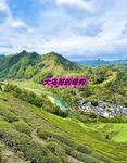 最新10月无水首发！魔都绿帽调教博主【大鸟哥的母狗】推特福利，极品淫妻，可乐灌肠肛门内射叠罗汉3P黑人群P