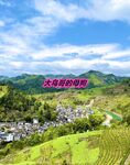 最新10月无水首发！魔都绿帽调教博主【大鸟哥的母狗】推特福利，极品淫妻，可乐灌肠肛门内射叠罗汉3P黑人群P