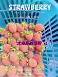 最新10月无水首发！魔都绿帽调教博主【大鸟哥的母狗】推特福利，极品淫妻，可乐灌肠肛门内射叠罗汉3P黑人群P