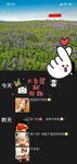 最新10月无水首发！魔都绿帽调教博主【大鸟哥的母狗】推特福利，极品淫妻，可乐灌肠肛门内射叠罗汉3P黑人群P