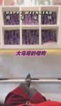 最新10月无水首发！魔都绿帽调教博主【大鸟哥的母狗】推特福利，极品淫妻，可乐灌肠肛门内射叠罗汉3P黑人群P