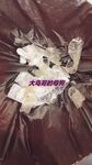 最新10月无水首发！魔都绿帽调教博主【大鸟哥的母狗】推特福利，极品淫妻，可乐灌肠肛门内射叠罗汉3P黑人群P