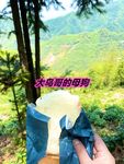 最新10月无水首发！魔都绿帽调教博主【大鸟哥的母狗】推特福利，极品淫妻，可乐灌肠肛门内射叠罗汉3P黑人群P