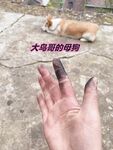 最新10月无水首发！魔都绿帽调教博主【大鸟哥的母狗】推特福利，极品淫妻，可乐灌肠肛门内射叠罗汉3P黑人群P