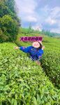 最新10月无水首发！魔都绿帽调教博主【大鸟哥的母狗】推特福利，极品淫妻，可乐灌肠肛门内射叠罗汉3P黑人群P