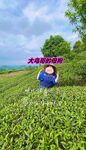 最新10月无水首发！魔都绿帽调教博主【大鸟哥的母狗】推特福利，极品淫妻，可乐灌肠肛门内射叠罗汉3P黑人群P