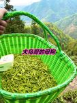 最新10月无水首发！魔都绿帽调教博主【大鸟哥的母狗】推特福利，极品淫妻，可乐灌肠肛门内射叠罗汉3P黑人群P