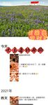 最新10月无水首发！魔都绿帽调教博主【大鸟哥的母狗】推特福利，极品淫妻，可乐灌肠肛门内射叠罗汉3P黑人群P