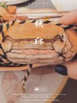 最新10月无水首发！魔都绿帽调教博主【大鸟哥的母狗】推特福利，极品淫妻，可乐灌肠肛门内射叠罗汉3P黑人群P