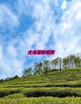 最新10月无水首发！魔都绿帽调教博主【大鸟哥的母狗】推特福利，极品淫妻，可乐灌肠肛门内射叠罗汉3P黑人群P