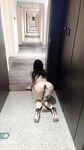 专操极品尤物【闹闹Style】超极品身材反差尤物被大鸡巴爸爸当成鸡巴套子母狗就是给大鸡吧随便使用的肉便器