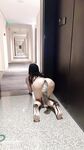 专操极品尤物【闹闹Style】超极品身材反差尤物被大鸡巴爸爸当成鸡巴套子母狗就是给大鸡吧随便使用的肉便器