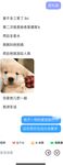 反差性感御姐女神【百事從歡】我現在強的可怕 路過的狗我都能勾引do上兩下