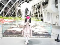 Loli kecil perempuan jalang yang tidak bersalah [Bingling Zixuan] loli kecil JK telah disetubuhi oleh seorang negro? Panggil ia satu pembaziran sumber semula jadi! Loli kecil yang tidak bersalah dijemput dan diperkosa oleh ayam hitam besar dalam 3P