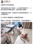 [Y Jiang Jiang Jiang] โลลิต้าตัดกันที่บริสุทธิ์, ผู้หญิงเลวรูปมนุษย์น่ารัก, กลายเป็นผู้หญิงเลวโดยสิ้นเชิง, เปิดเผย, เจาะหัวนม, สวน, ฉี่กลางแจ้ง