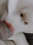 最新10月无水福利！推特反差母畜人妻【荡妇馨儿】大尺度视图，露出吃鸡舔蛋吸精样样通