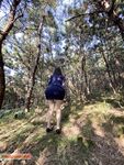 【兔兔_秀禾_tu521125】婚纱内射，男厕口爆，放尿，制服，露出，反差婊，双飞