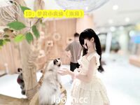 Cape God’s twin ponytails, pink and tender white tiger@LOLI小cousin