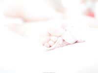 [Photochips] Tập 64 Dami