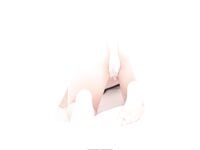 [Photochips] Tập 64 Dami
