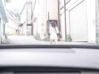 Bộ ảnh chất lượng cao @Photochips Vol.101 Aram No.6