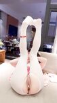 Double ponytail pink white tiger @小粉馕头 scale private shooting view