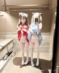 Double ponytail pink white tiger @小粉馕头 scale private shooting view