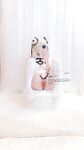 Double ponytail pink white tiger @小粉馕头 scale private shooting view