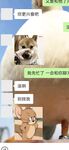 重度淫妻大佬@小熊戴绿帽贡献娇妻附大量聊天记录