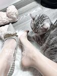 Selebriti Internet Silk Foot @米鹿鹿鹿奇 Pandangan bulatan mikro