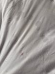 태국 중국인 여성모델 "페리" 대규모 일상 생활 모습이 사적인 BDSM 남녀가 모두 사적으로 먹는 모습을 많이 보여준다