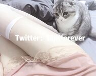 全網整理超大自整理合集87位極品蘿莉 超絕收藏合集 第二期 [Twitter][蘿莉] [18jkforever@j18jkforever]【注銷】