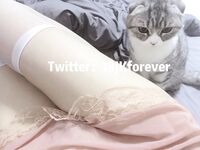 全網整理超大自整理合集87位極品蘿莉 超絕收藏合集 第二期 [Twitter][蘿莉] [18jkforever@j18jkforever]【注銷】
