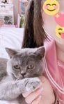 全网整理超大自整理合集87位极品萝莉超绝收藏合集第二期[Twitter][萝莉] [⁵⁵⁵小埋长不高ˡᵃ@Xiaomai522]