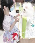 全网整理超大自整理合集87位极品萝莉超绝收藏合集第二期[Twitter][萝莉] [⁵⁵⁵小埋长不高ˡᵃ@Xiaomai522]