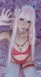 Inayos ng buong network ang isang malaking koleksyon ng 87 top-notch lolita super collection collection pangalawang isyu [Twitter][Lolita] [Kit@kittyxkum]
