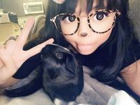 Inayos ng buong network ang isang malaking koleksyon ng 87 top-notch lolita super collection collection pangalawang isyu [Twitter][Lolita] [Kit@kittyxkum]