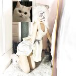 ネット全体で87枚の超高級ロリータ大集合コレクション第二弾[Twitter][ロリータ][ik@Criskissly] [ログアウト]