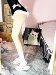 ネット全体で87枚の超高級ロリータ大集合コレクション第二弾[Twitter][ロリータ][ik@Criskissly] [ログアウト]