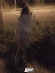 Inayos ng buong network ang isang malaking koleksyon ng 87 super-high-quality lolita super collection collection pangalawang isyu [Twitter][Lolita] [LepALuli2kVN@LepALuli2kVN] 1011