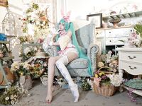 Seluruh rangkaian menyusun koleksi besar 87 koleksi koleksi super lolita terkemuka keluaran kedua [Twitter][Lolita] [Chengzi Wangjiang@chengzimiaoji1]