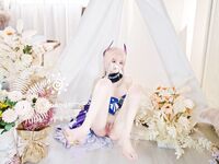 Seluruh rangkaian menyusun koleksi besar 87 koleksi koleksi super lolita terkemuka keluaran kedua [Twitter][Lolita] [Chengzi Wangjiang@chengzimiaoji1]